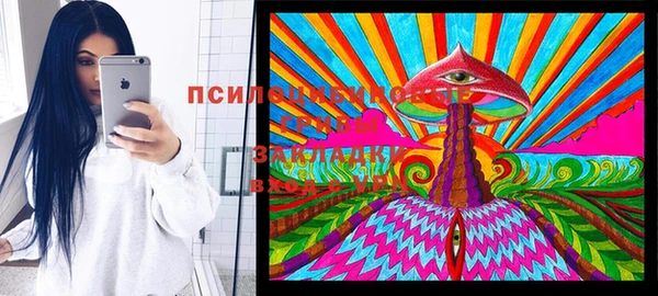 крисы Протвино